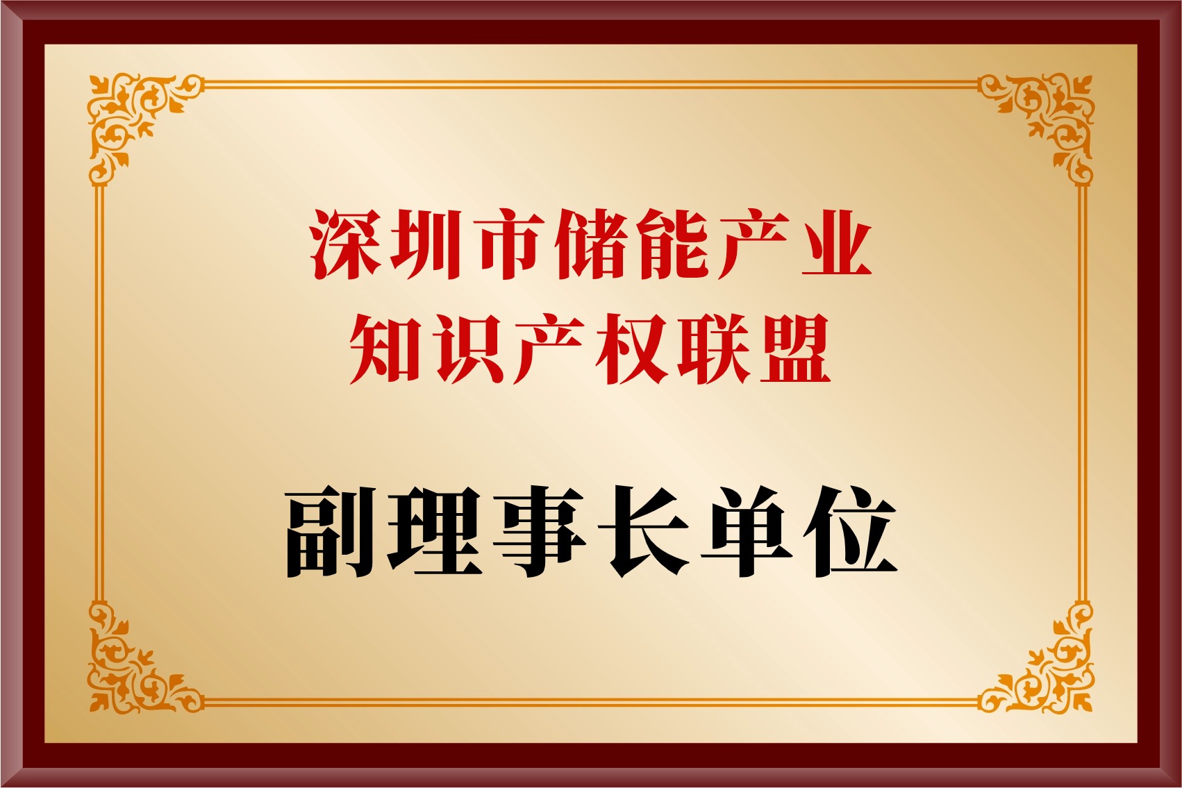 深圳市储能产业知识产权联盟1.jpg